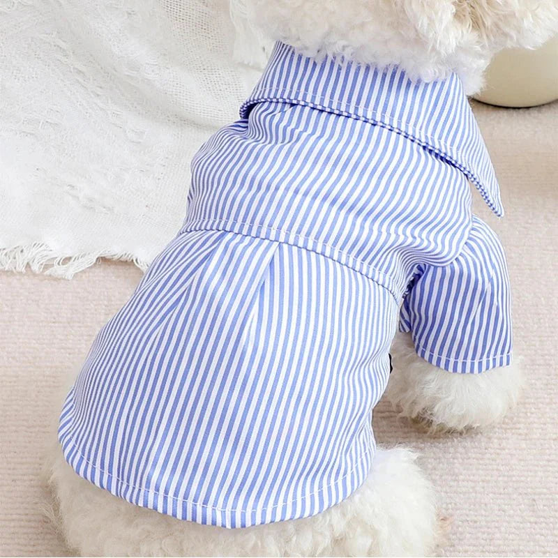 Blue Striped Bowknot Dog Shirt