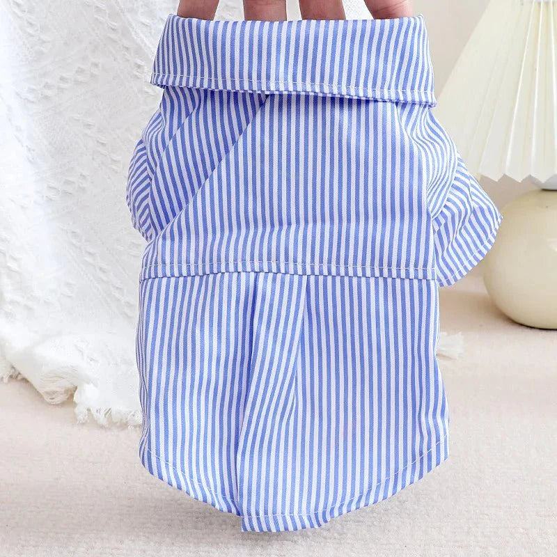 Blue Striped Bowknot Dog Shirt