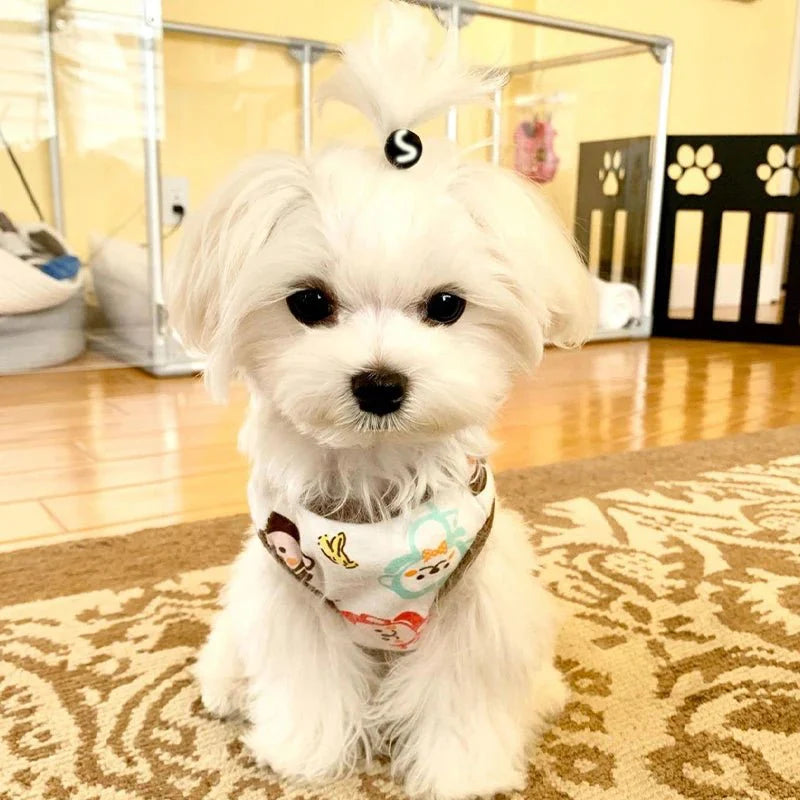 Breathable Summer Cartoon Dog Vest