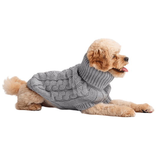 Cozy Knitwear Warm Winter Sweater