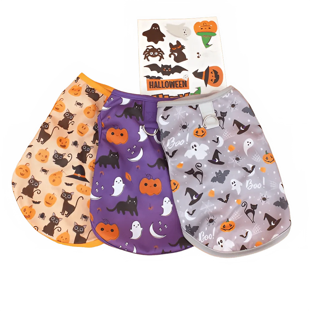 Cute Dog Costumes for Small Pets