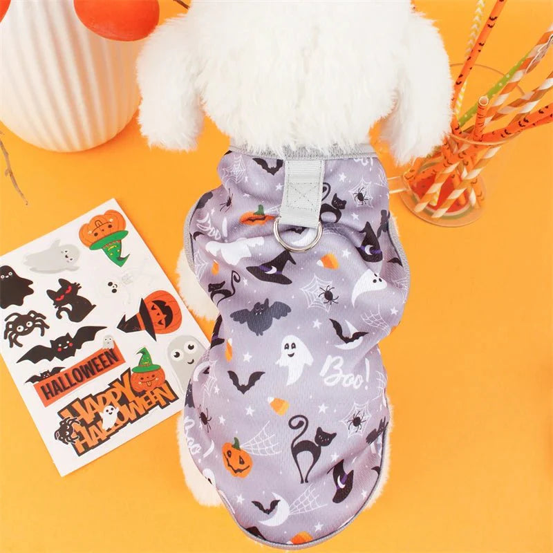 Cute Dog Costumes for Small Pets