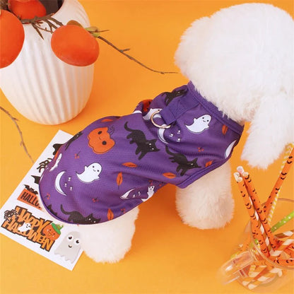 Cute Dog Costumes for Small Pets