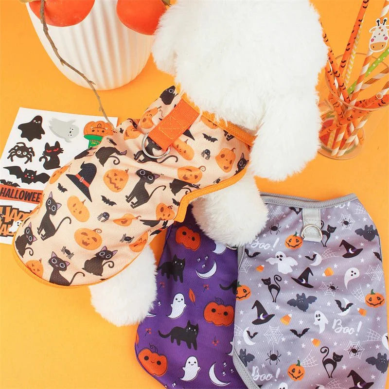 Cute Dog Costumes for Small Pets