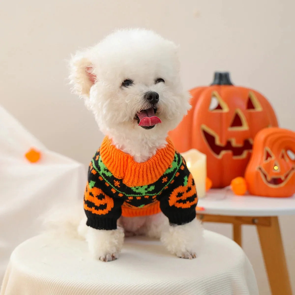 Cute Pumpkin Halloween Sweater for Pets