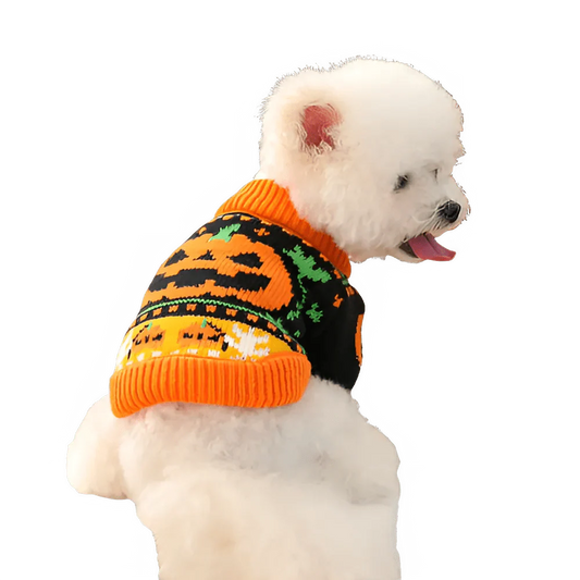 Cute Pumpkin Halloween Sweater for Pets