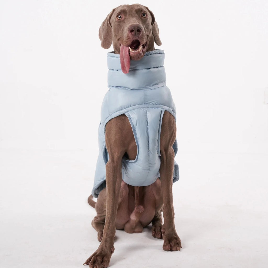 Lightweight Warm Dog Puffer Vest