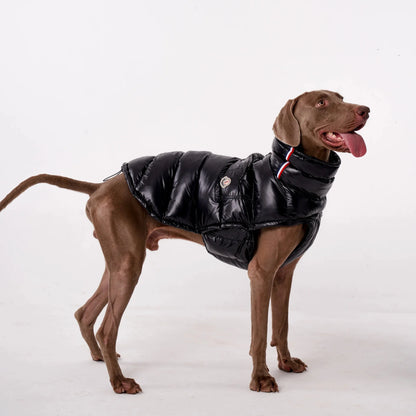 Lightweight Warm Dog Puffer Vest