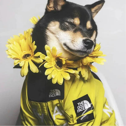 Windbreaker Waterproof  Dog Jacket