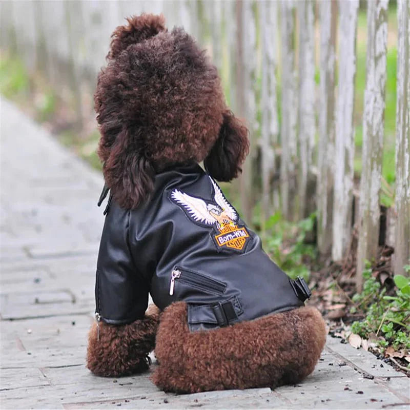 Glorious Eagle Pattern Waterproof Jacket