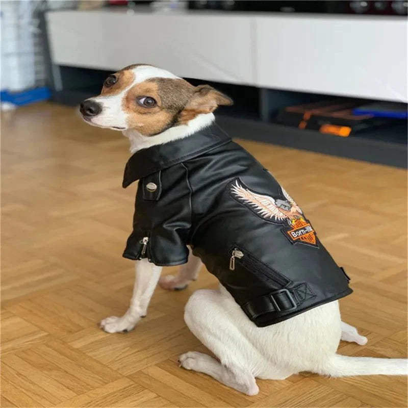 Glorious Eagle Pattern Waterproof Jacket