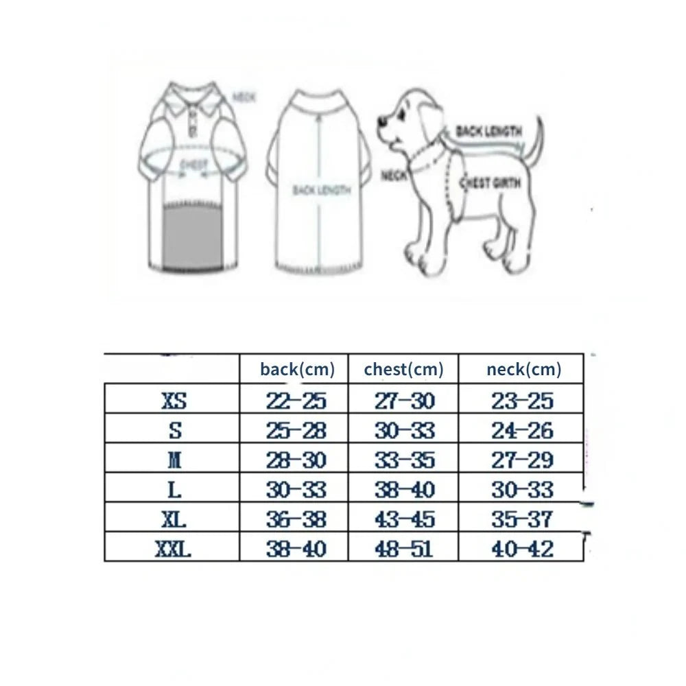 Glorious Eagle Pattern Waterproof Jacket
