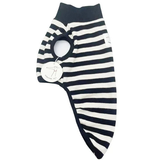 Italian Greyhound Striped Shirt