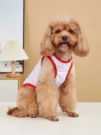 Lightweight Rainbow Cloud Pet Vest