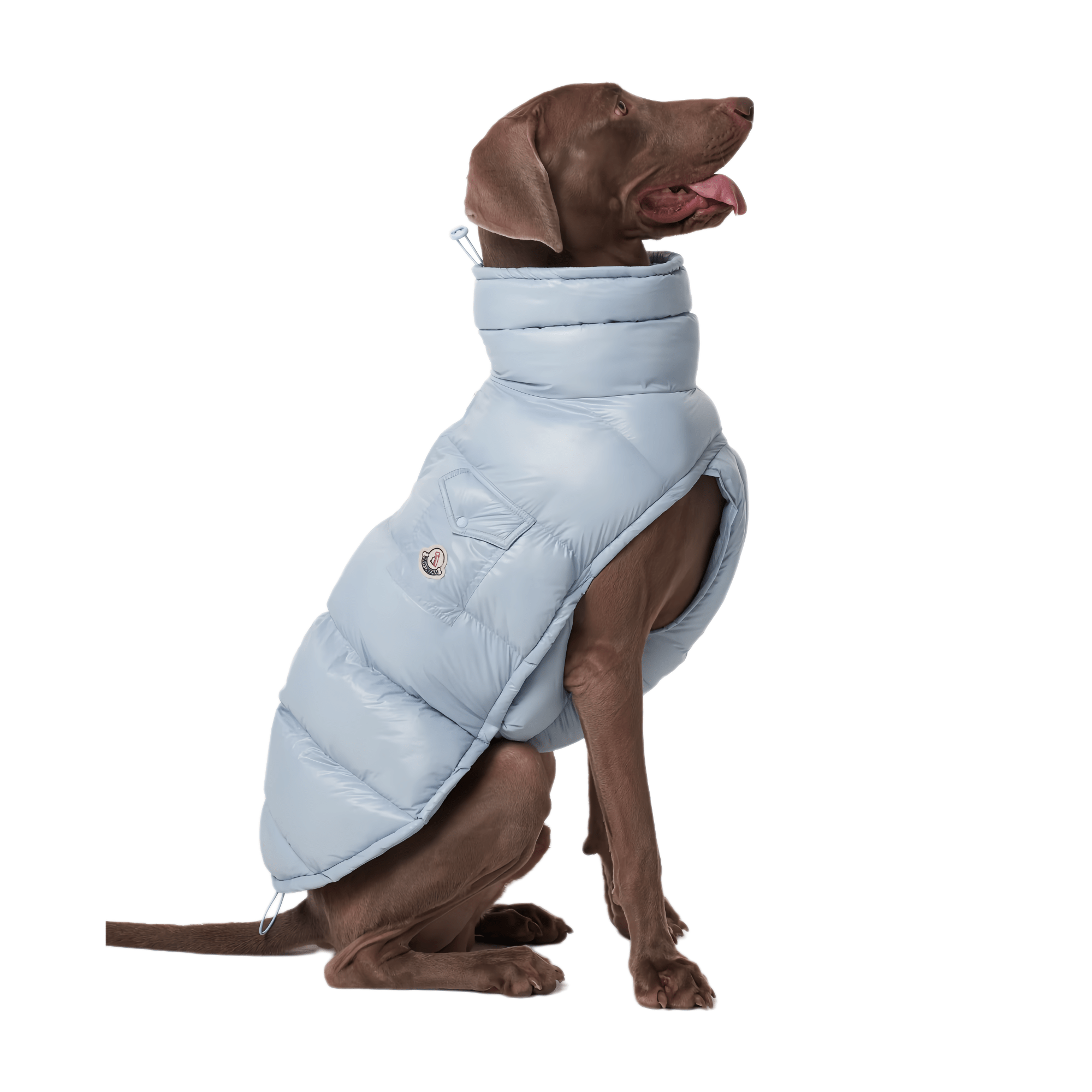 Lightweight Warm Dog Puffer Vest