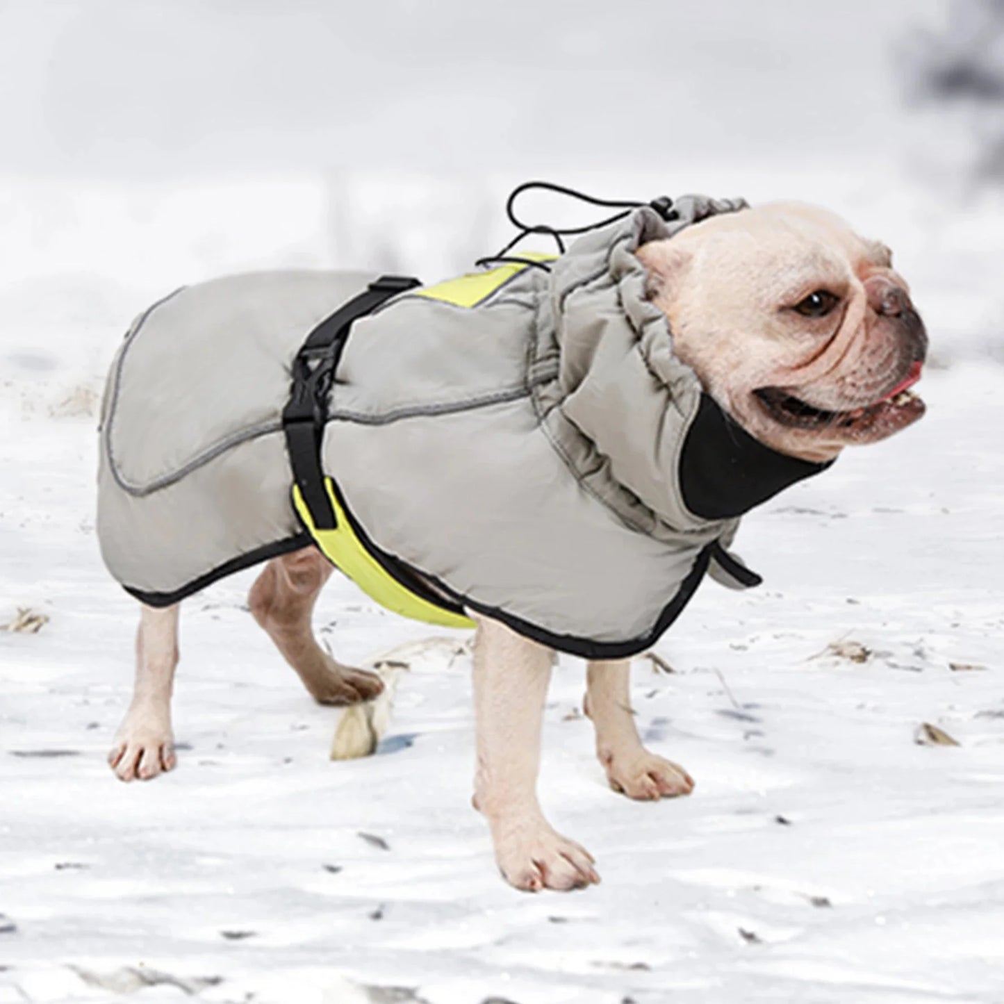 Quilted Thick Waterproof Warm Jacket