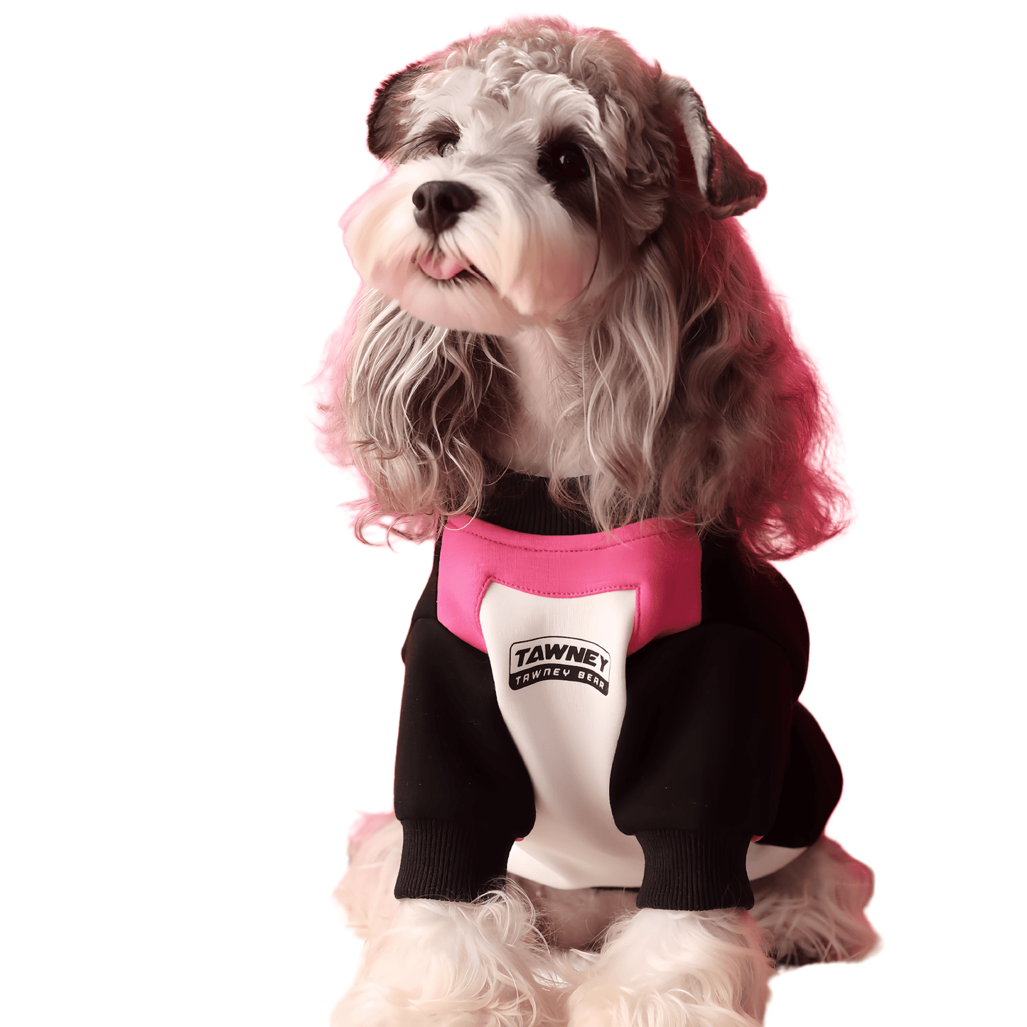 Stitching Zipper Dog Sweatshirt