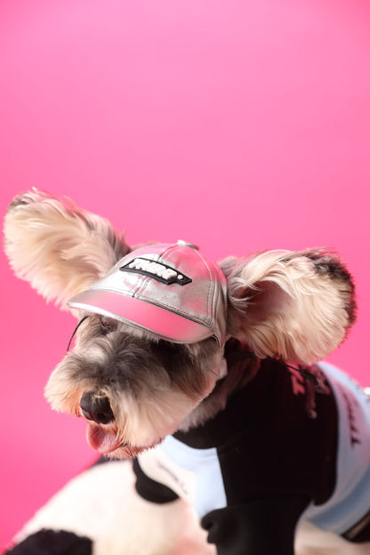 Stitching Zipper Dog Sweatshirt