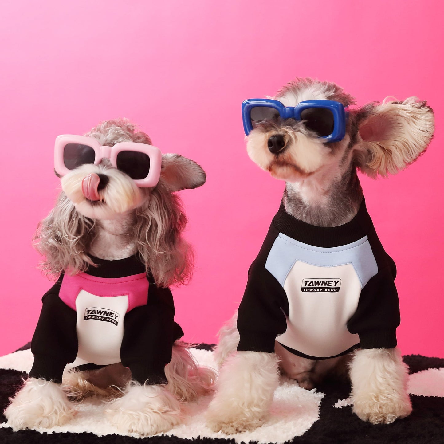 Stitching Zipper Dog Sweatshirt
