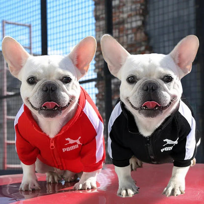 Stylish Baseball Dog Jacket for Winter Wear