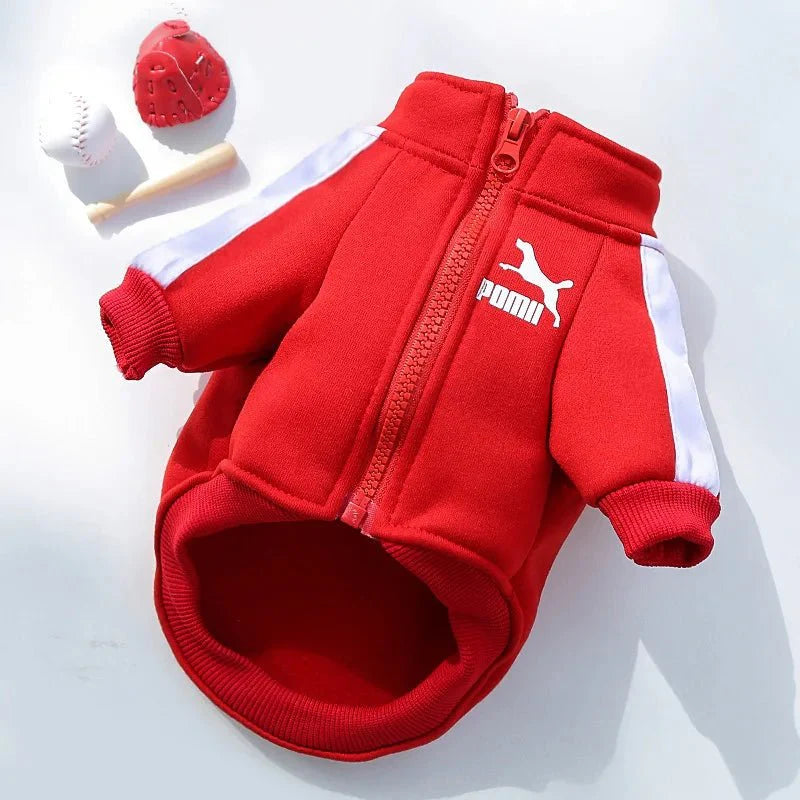 Stylish Baseball Dog Jacket for Winter Wear