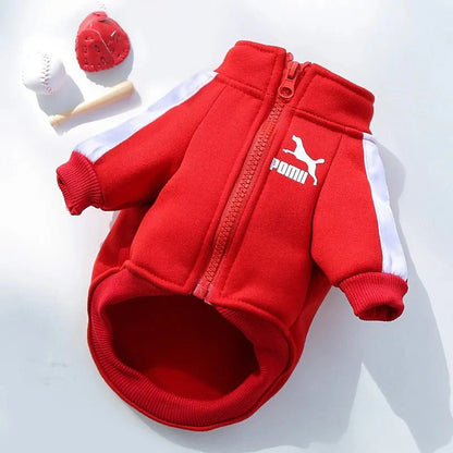 Stylish Baseball Dog Jacket for Winter Wear