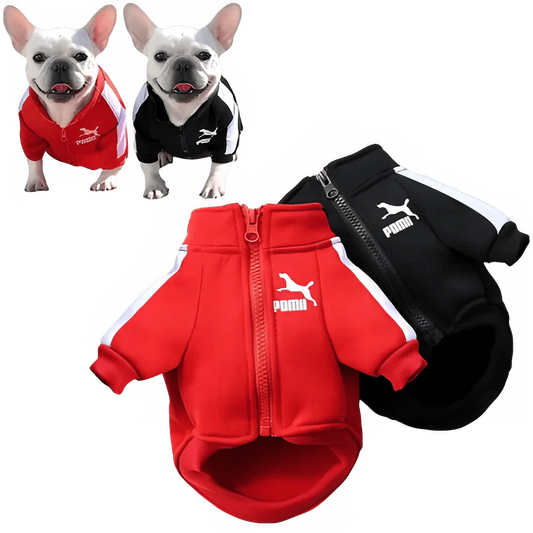 Stylish Baseball Dog Jacket for Winter Wear