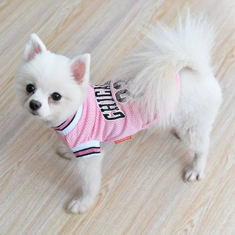 Summer Breathable Mesh Basketball Vest