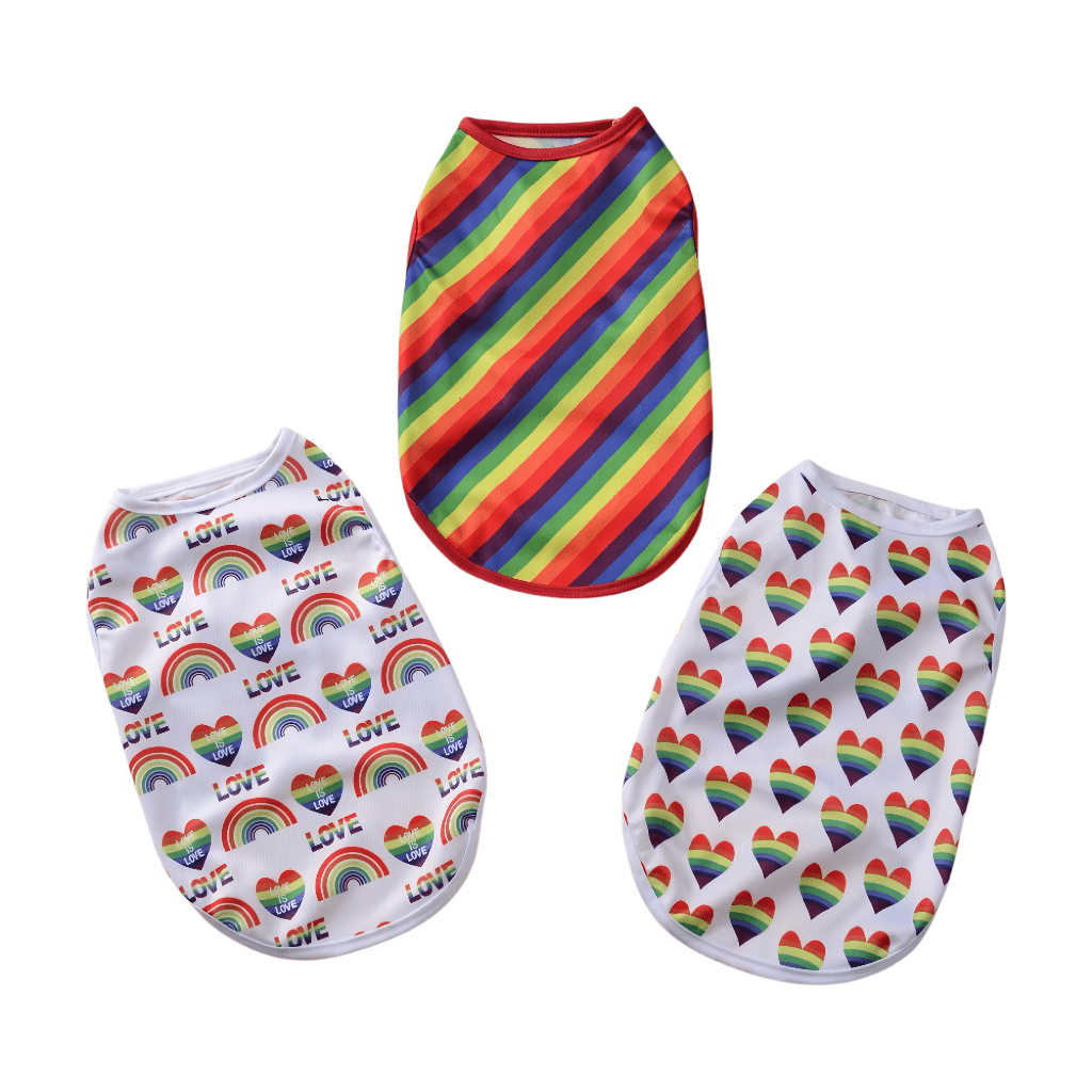 Summer Rainbow Print Dog Vest