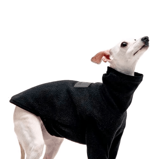 Warm Berber Fleece Jacket with High Neck