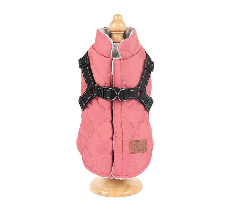 Warm Padded Dog Jacket with Harness