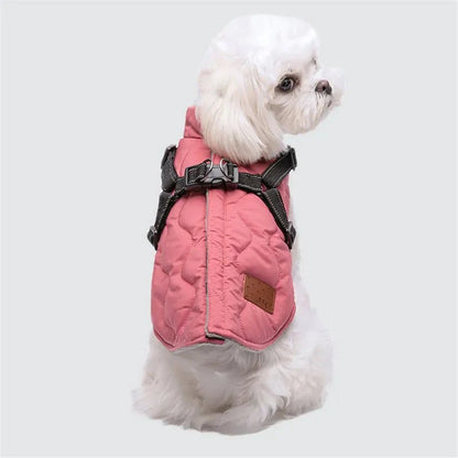 Warm Padded Dog Jacket with Harness
