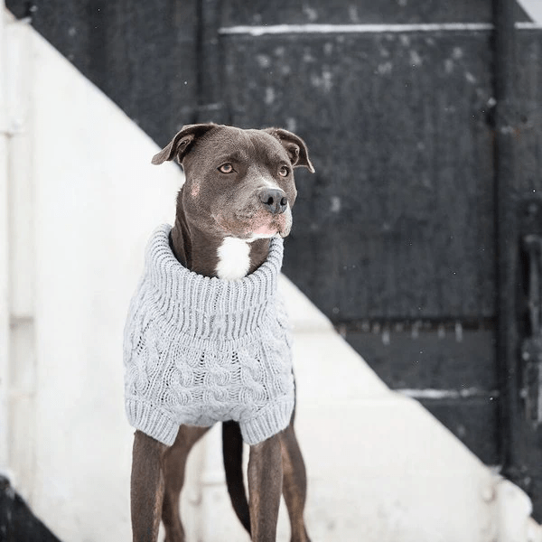 Cozy Knitwear Warm Winter Sweater