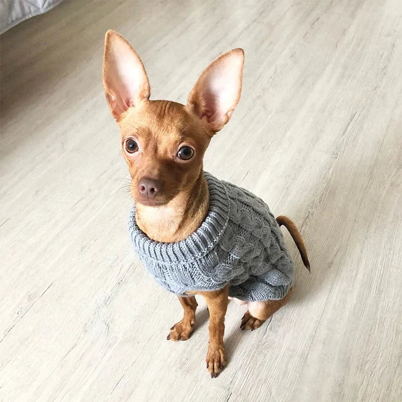 Cozy Knitwear Warm Winter Sweater