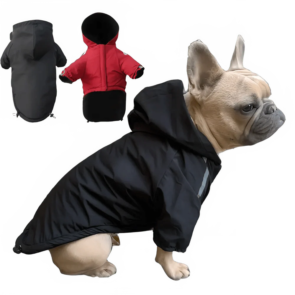 Waterproof Winter Dog Coat with Hood