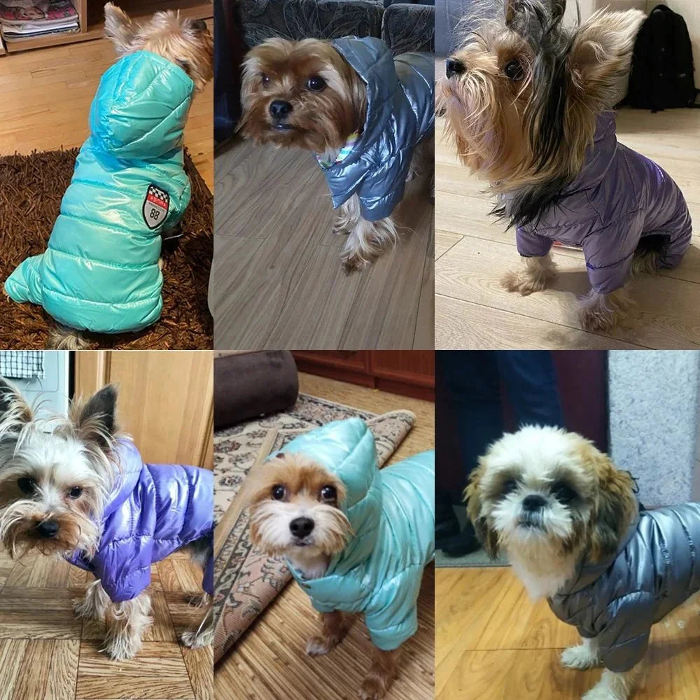 Winter Dog Jacket for Small Breeds