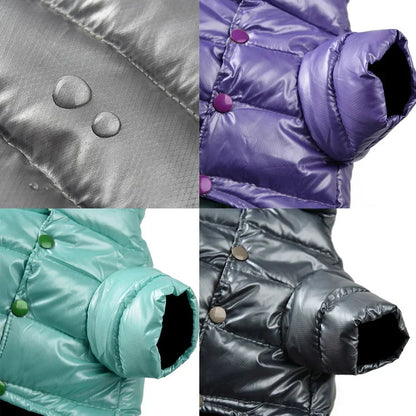 Winter Dog Jacket for Small Breeds