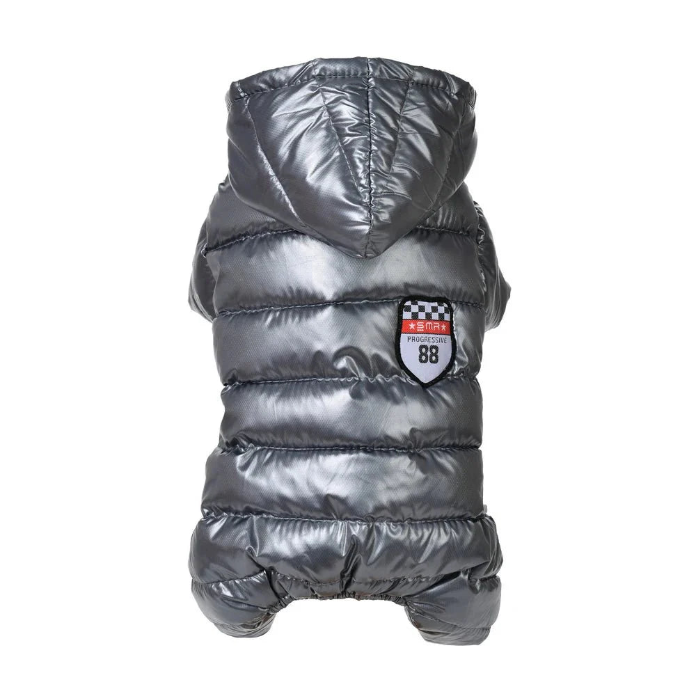 Winter Dog Jacket for Small Breeds