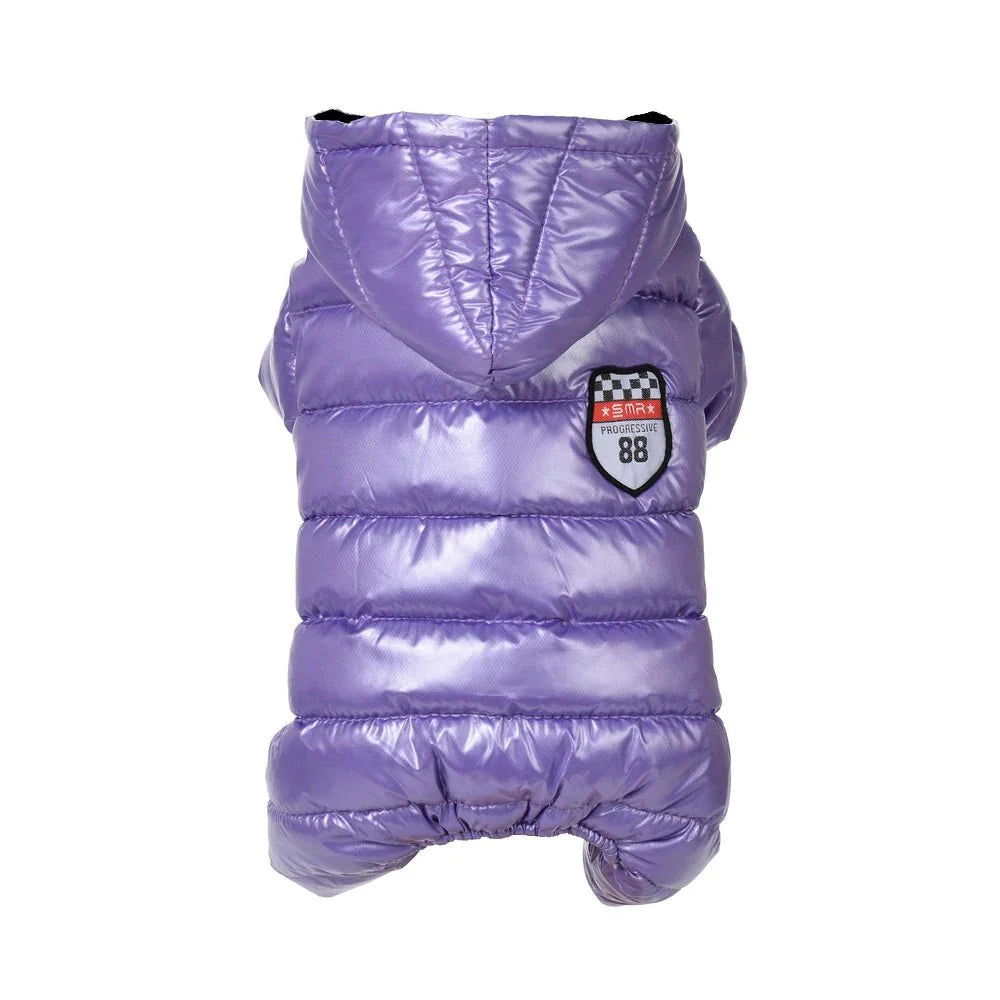 Winter Dog Jacket for Small Breeds