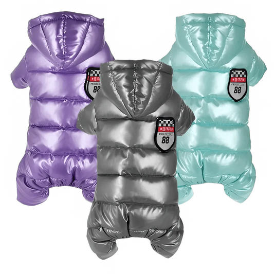 Winter Dog Jacket for Small Breeds