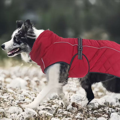 Winter Down Waterproof Dog Coat