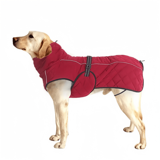 Winter Down Waterproof Dog Coat