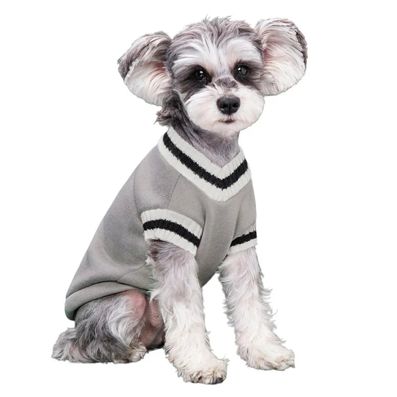 College Style V-Neck Sweater