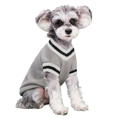 College Style V-Neck Sweater