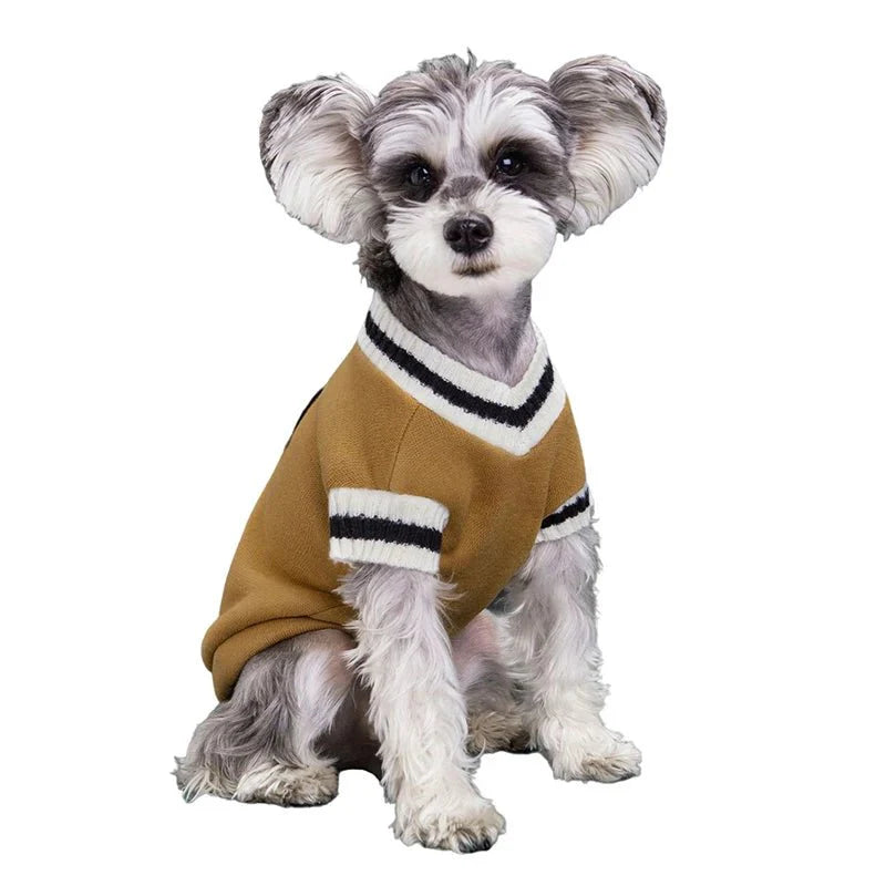 College Style V-Neck Sweater