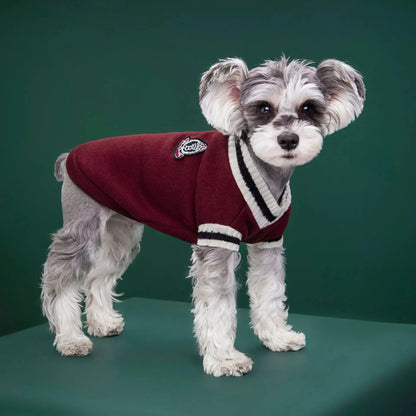 College Style V-Neck Sweater