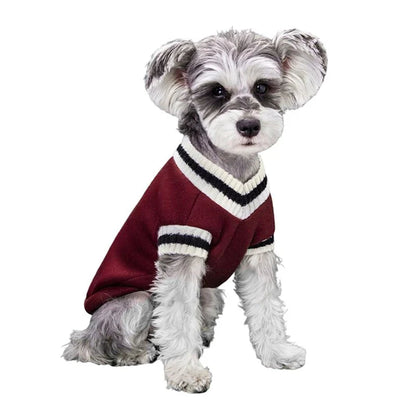 College Style V-Neck Sweater