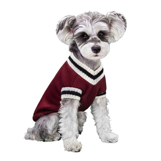 College Style V-Neck Sweater