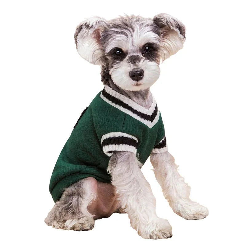 College Style V-Neck Sweater